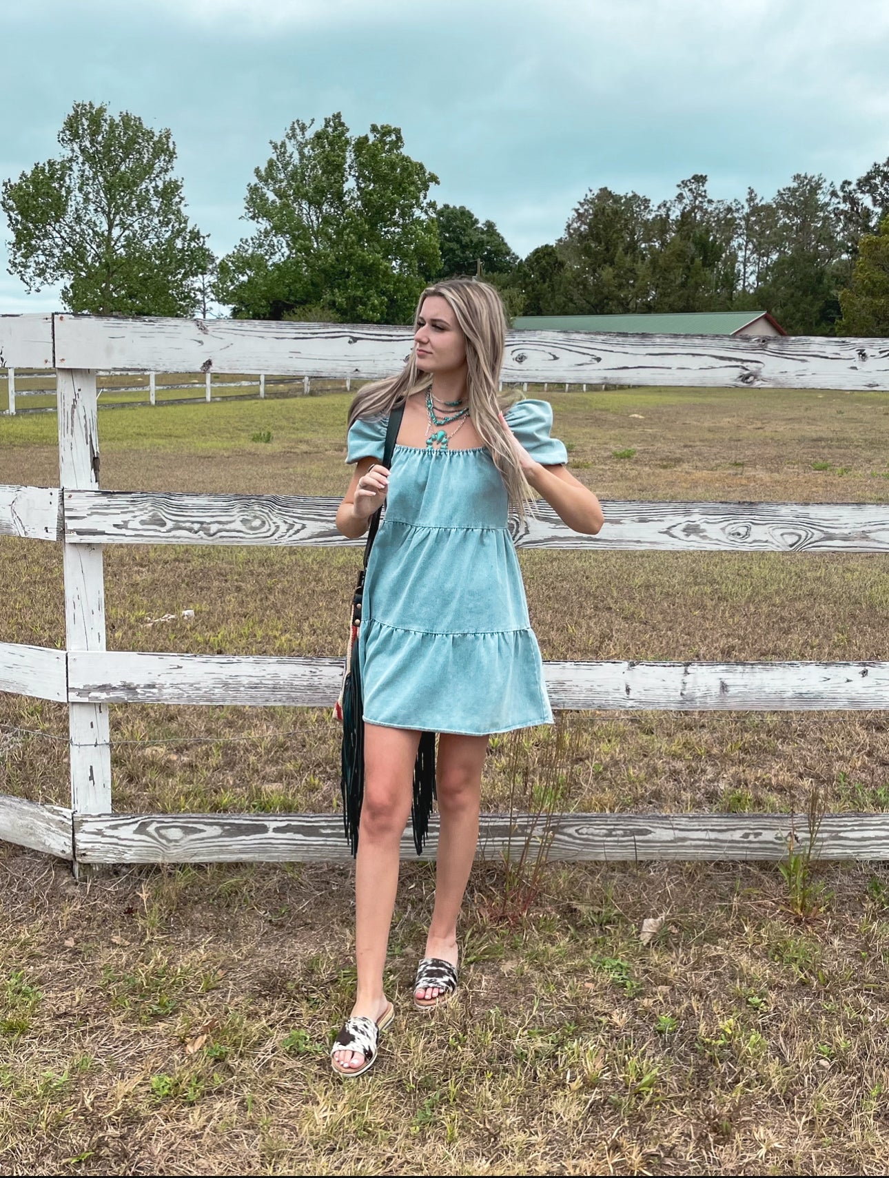 The Denim Delaney Dress